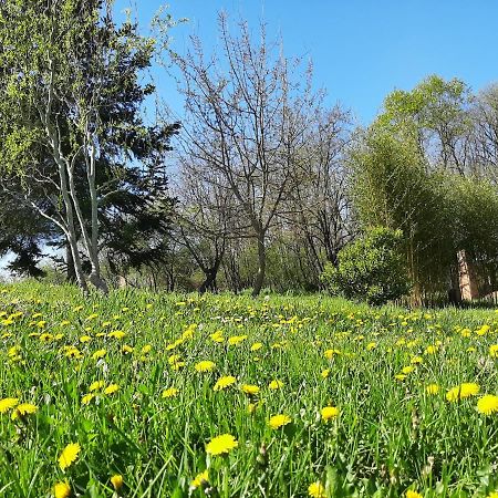 Chambre Soignee Et Accueillante A La Campagne - Ch. Jaune L'Honor-de-Cos Luaran gambar